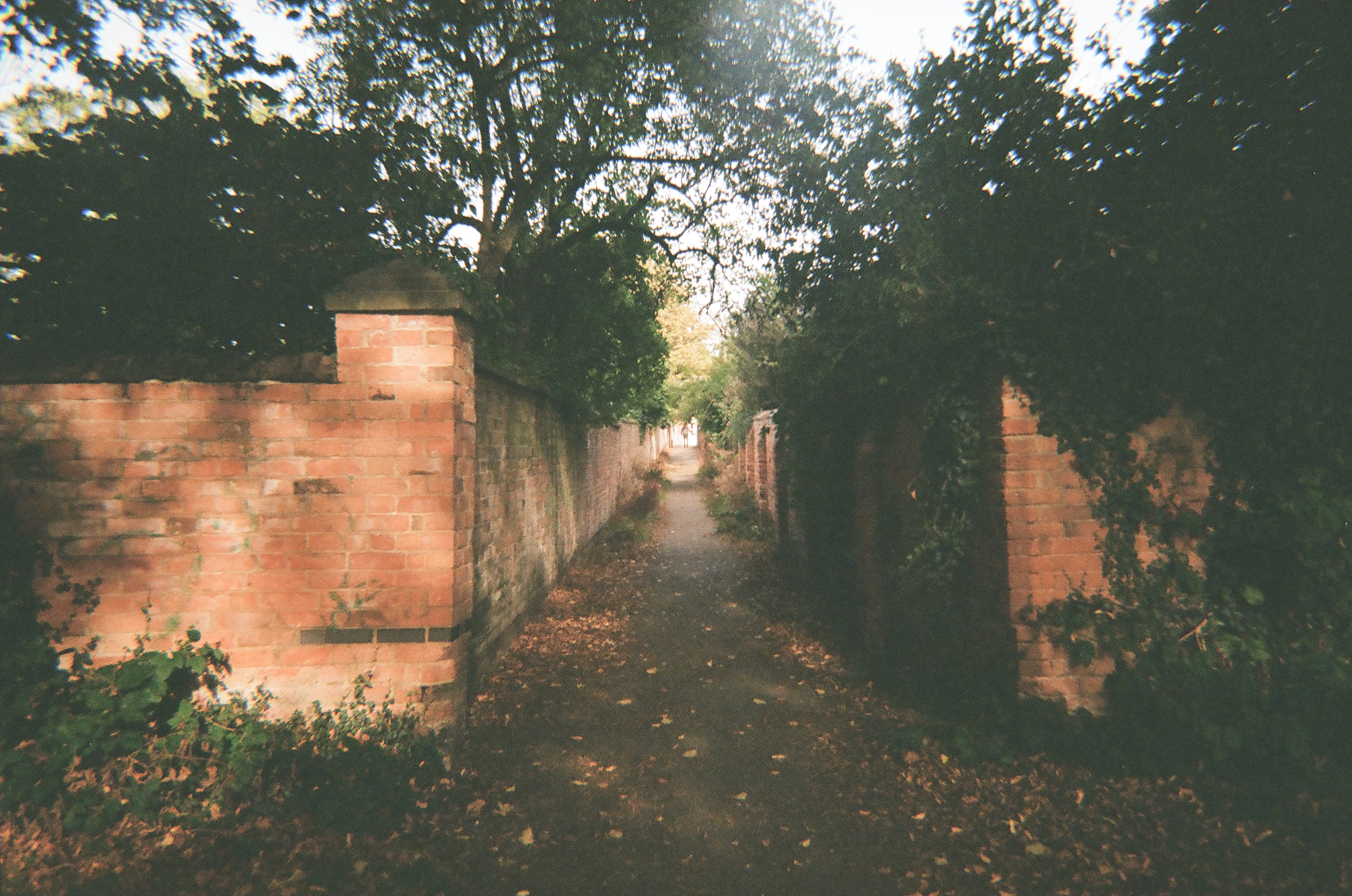 Main story image