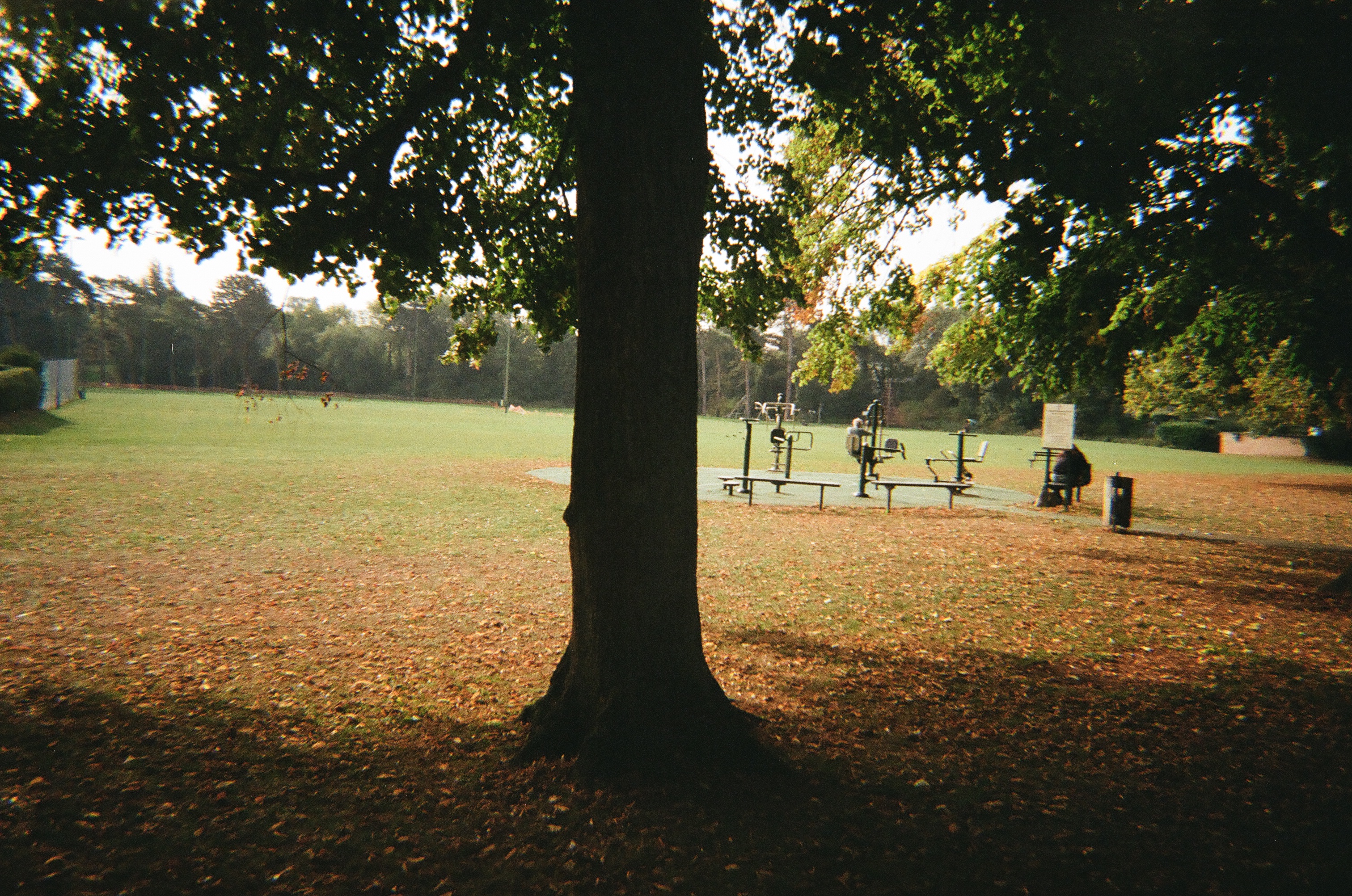 additional story image