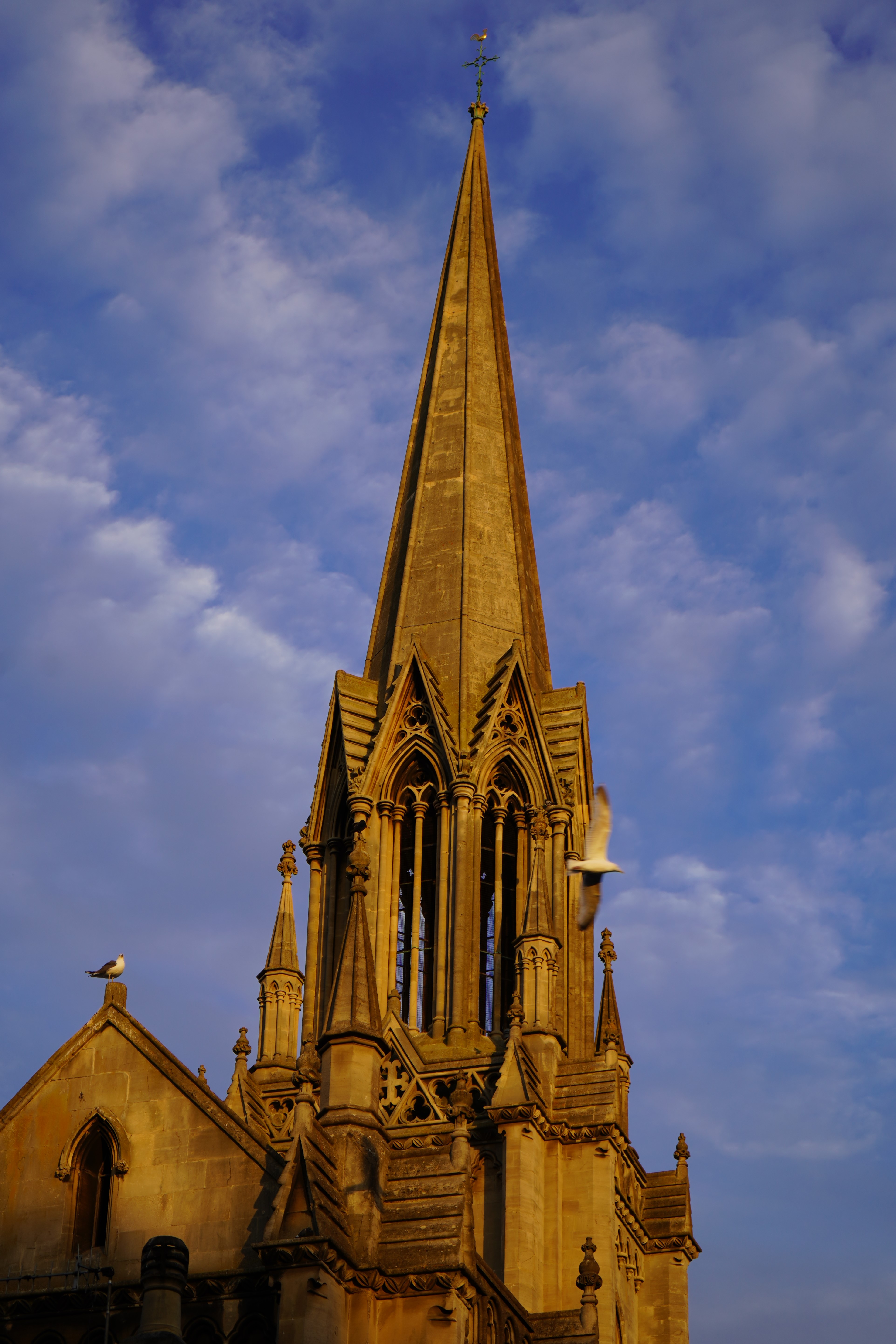 Main story image